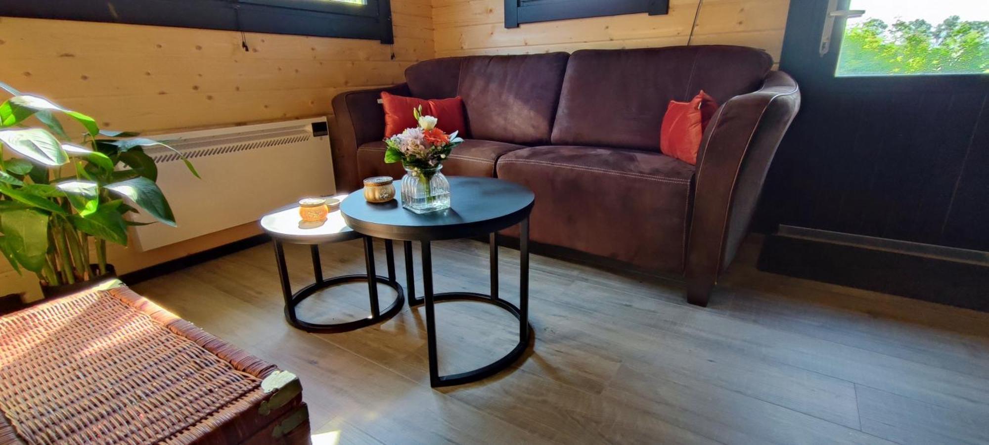 In Het Met Airco Chalet Drachtstercompagnie